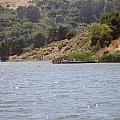 Lake Shabot